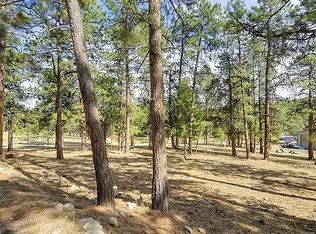 319 Mockingbird Trl, Bailey, CO 80421