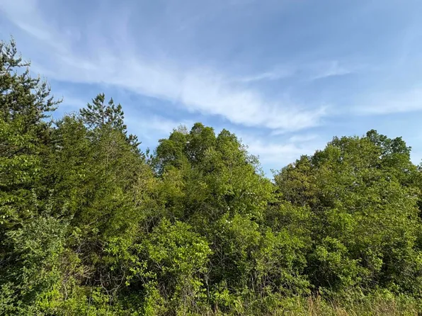 LOT 60 Saddleridge Dr, Speedwell, TN 37870