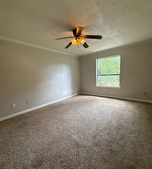 427 Chanterelle Dr — Photo 3