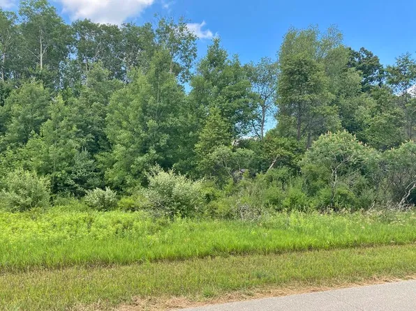 11390 Old Pierce Rd, Stanwood, MI 49346