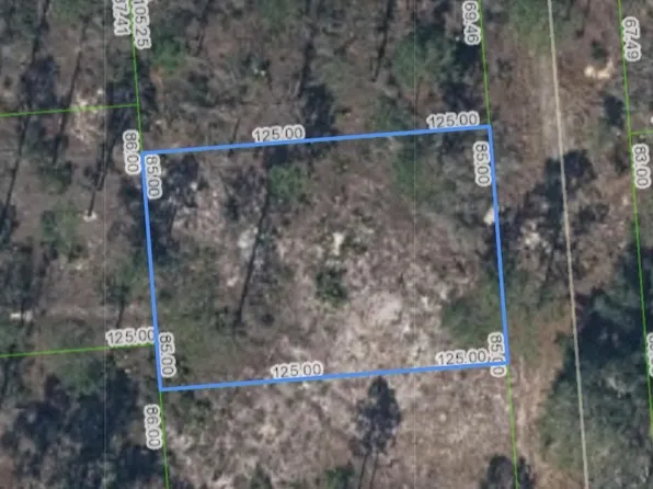 272 Sentimental Dr, Lake Placid, FL 33852