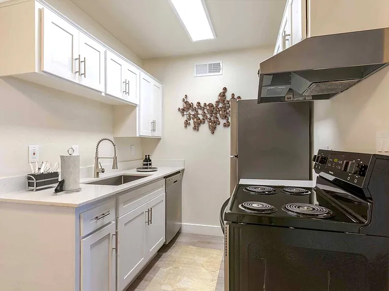 Elevation Apartments — Photo 6