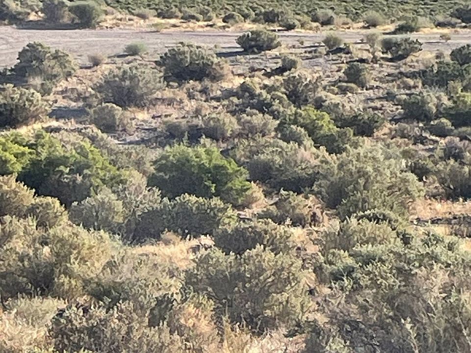 2nd image of Olancha