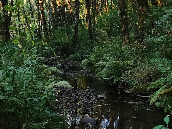 31917 Brooks Rd, Saint Helens, OR 97051