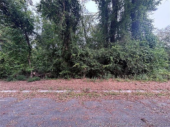 2nd image of Cade Ave