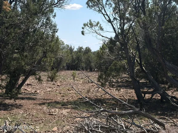 0 NW Nine Shooter Rd, Williams, AZ 86046