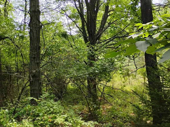 0 Middle Rd #V/l, Highland, MI 48357