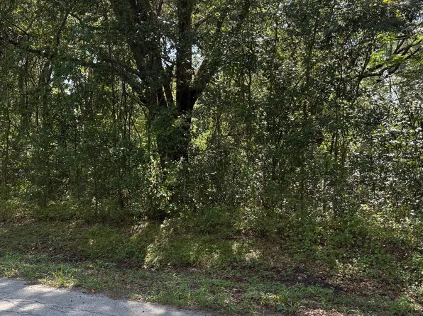 SW Magical Ter, Lake City, FL 32024