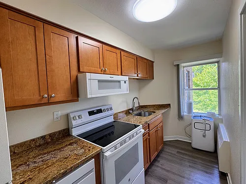 427 4th St SE #305 Photo 1