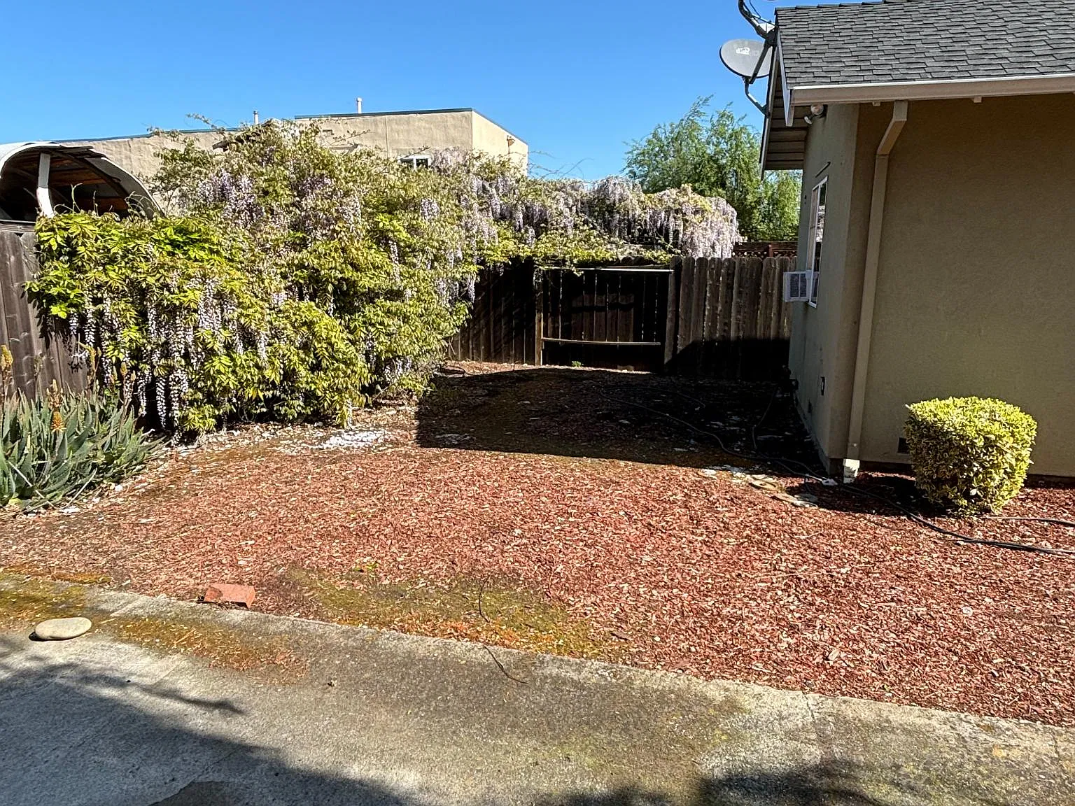 2 bed, $2,000 — Photo 2