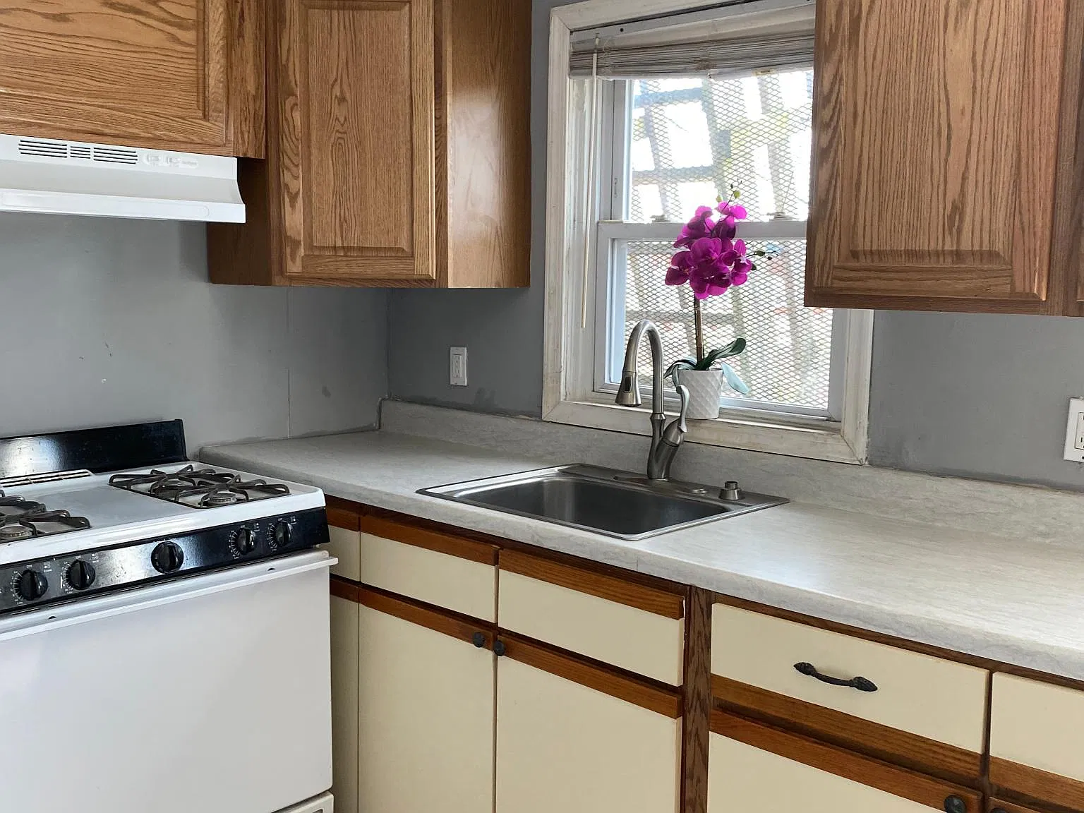2416 Saint Paul St — Photo 3