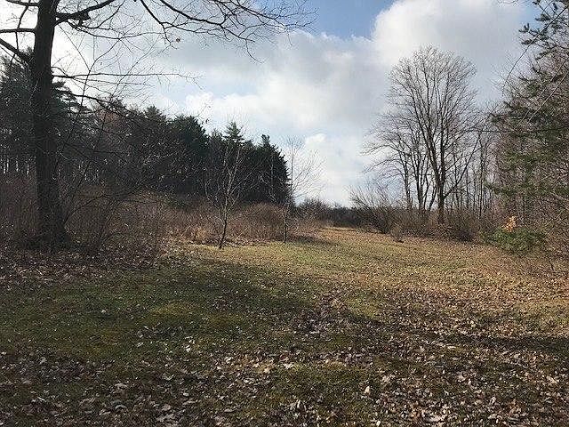 2nd image of 245 Bigler Rd