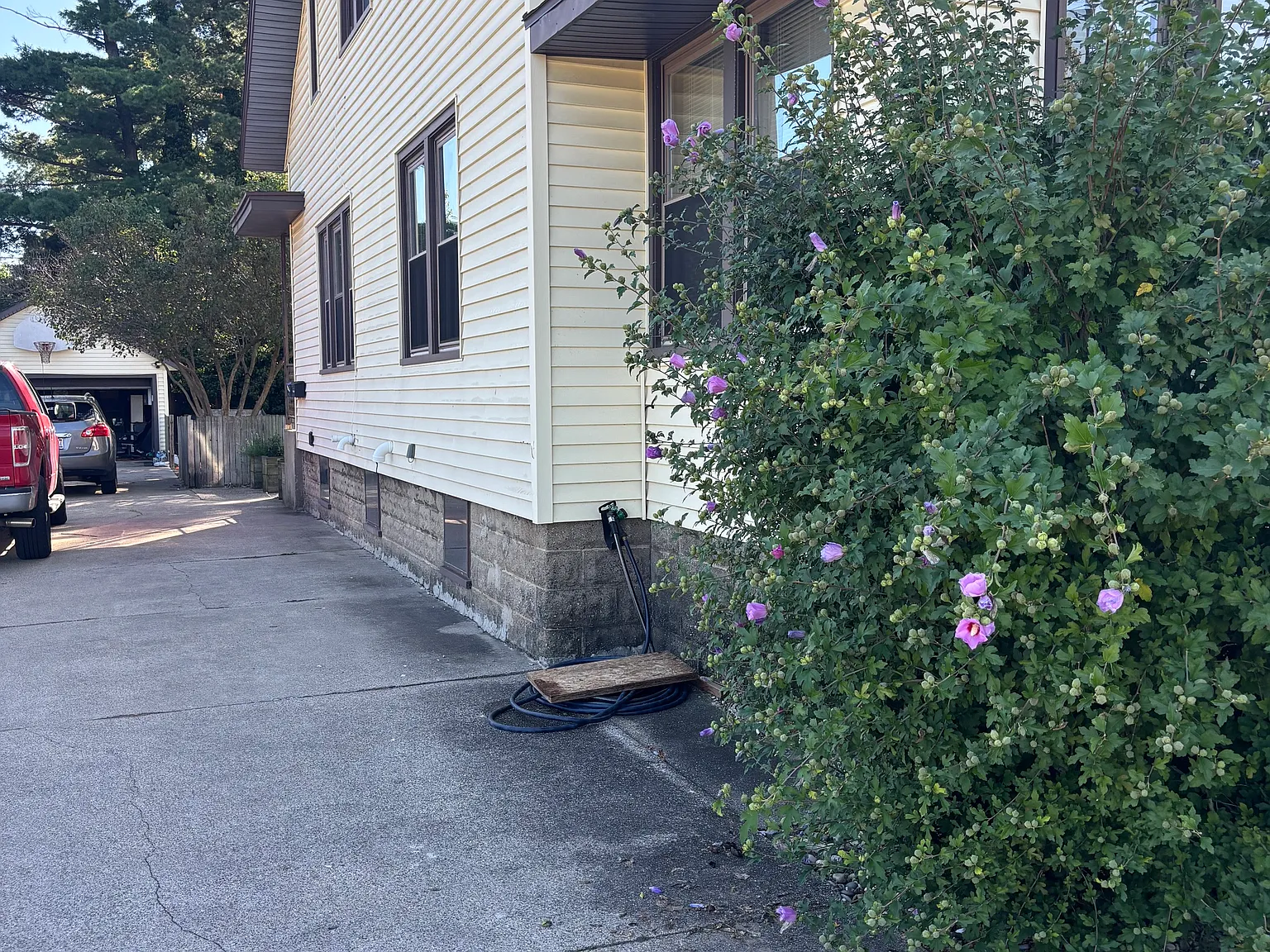 1 bed, $1,250 — Photo 2