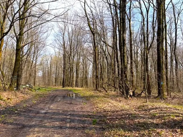 1700 28th Creek Rd Lot 48, Kennedy, NY 14747