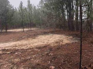 150 Blanton St, Pelion, SC 29123