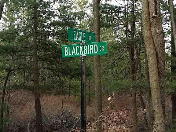 5th image of 104 Meadow Lark Dr