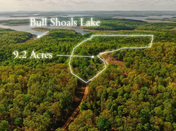 178 Round Robin Lane, Theodosia, AR 65761