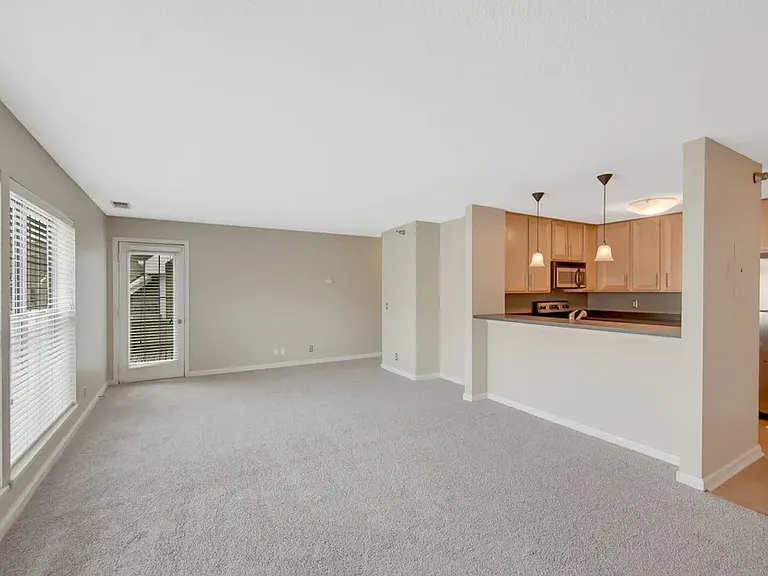6040 Chasewood Pkwy #203 — Photo 7