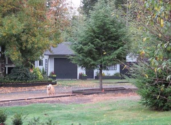 2nd image of 6703 Phillips Rd SE