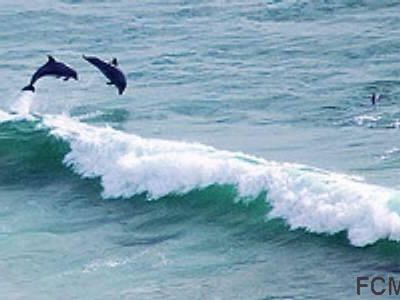 68 Flagler Dr, Palm Coast, FL, 32137