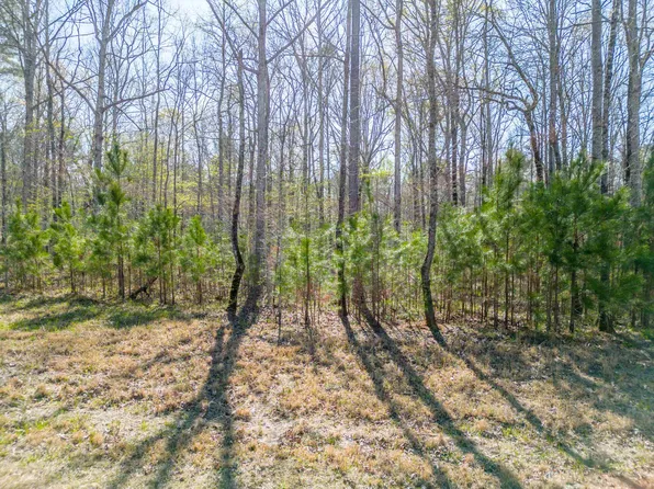 1301 Sailview Dr #33, Buckhead, GA 30625