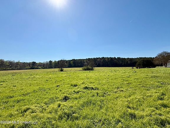 2nd image of Neal Rd