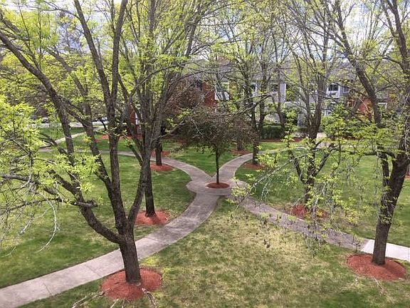 Our Beautiful Professionally Landscaped Court Yard