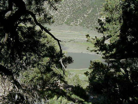 4th image of LOT 54 Pine Dr