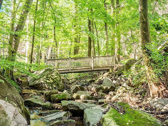 Nature Trail