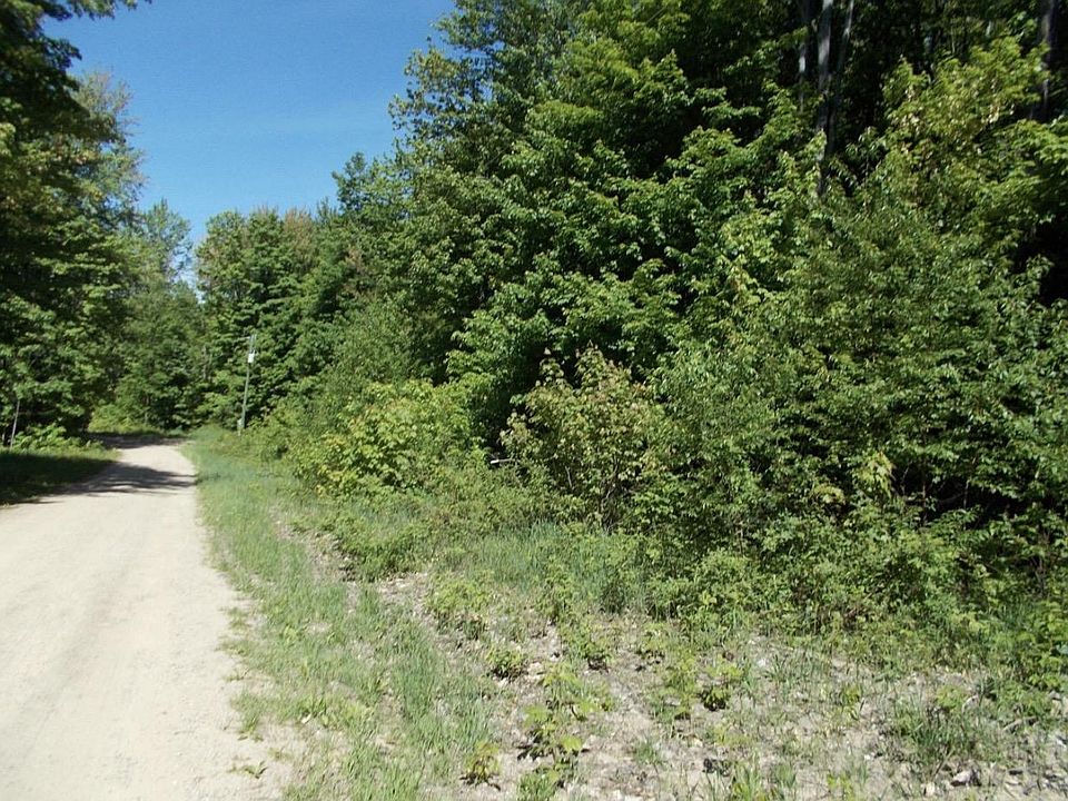 2nd image of Trunk Ln