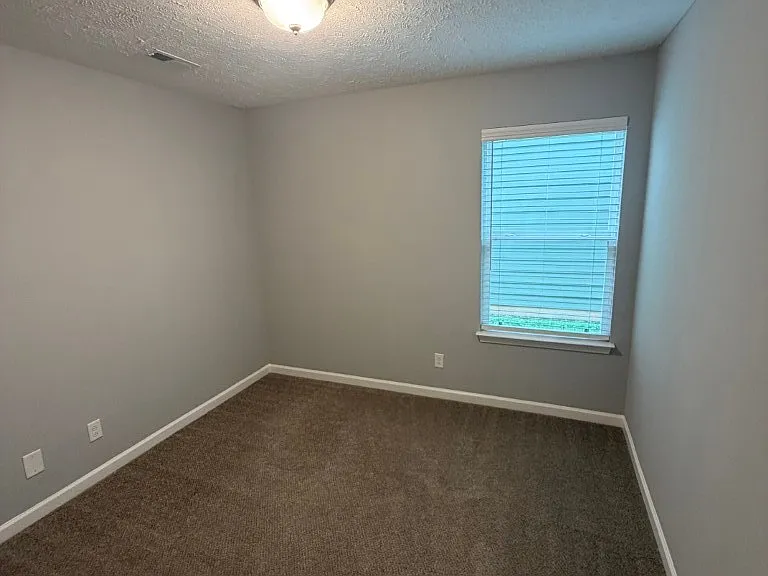 4223 Brogli Dr — Photo 10