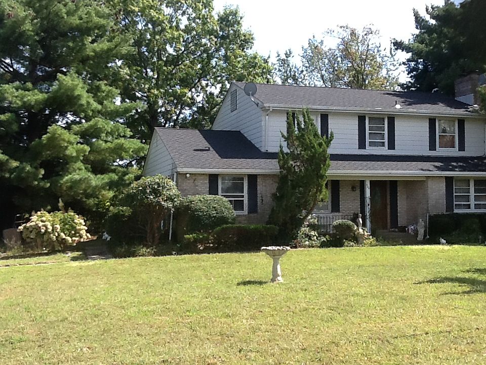 Left view