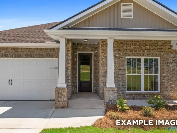 210 Cave Lake Dr, Owens Cross Roads, AL 35763