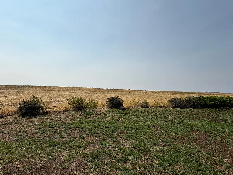 830 Horseshoe Bend Rd — Photo 24