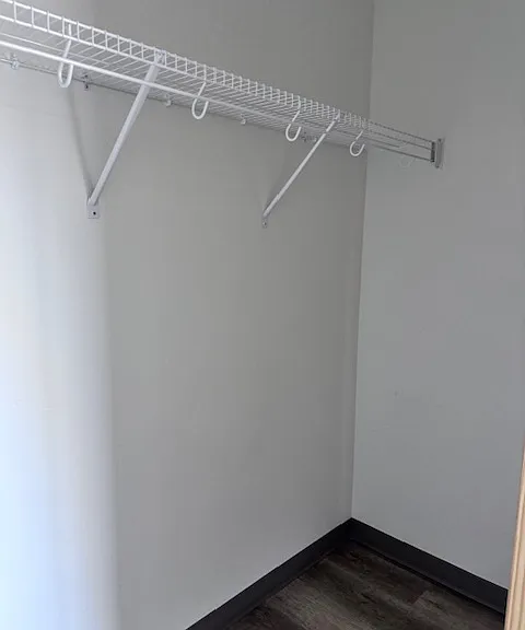 bedroom closet is large