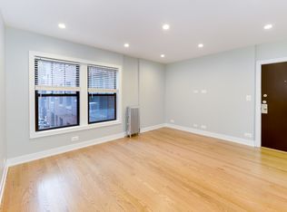 516 1/2 W Cornelia Ave #110, Chicago, IL 60657