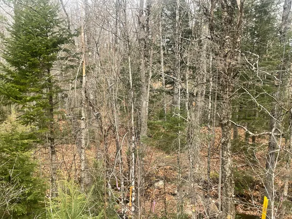 Lot 22 Roxbury Notch road Road, Roxbury, ME 04275