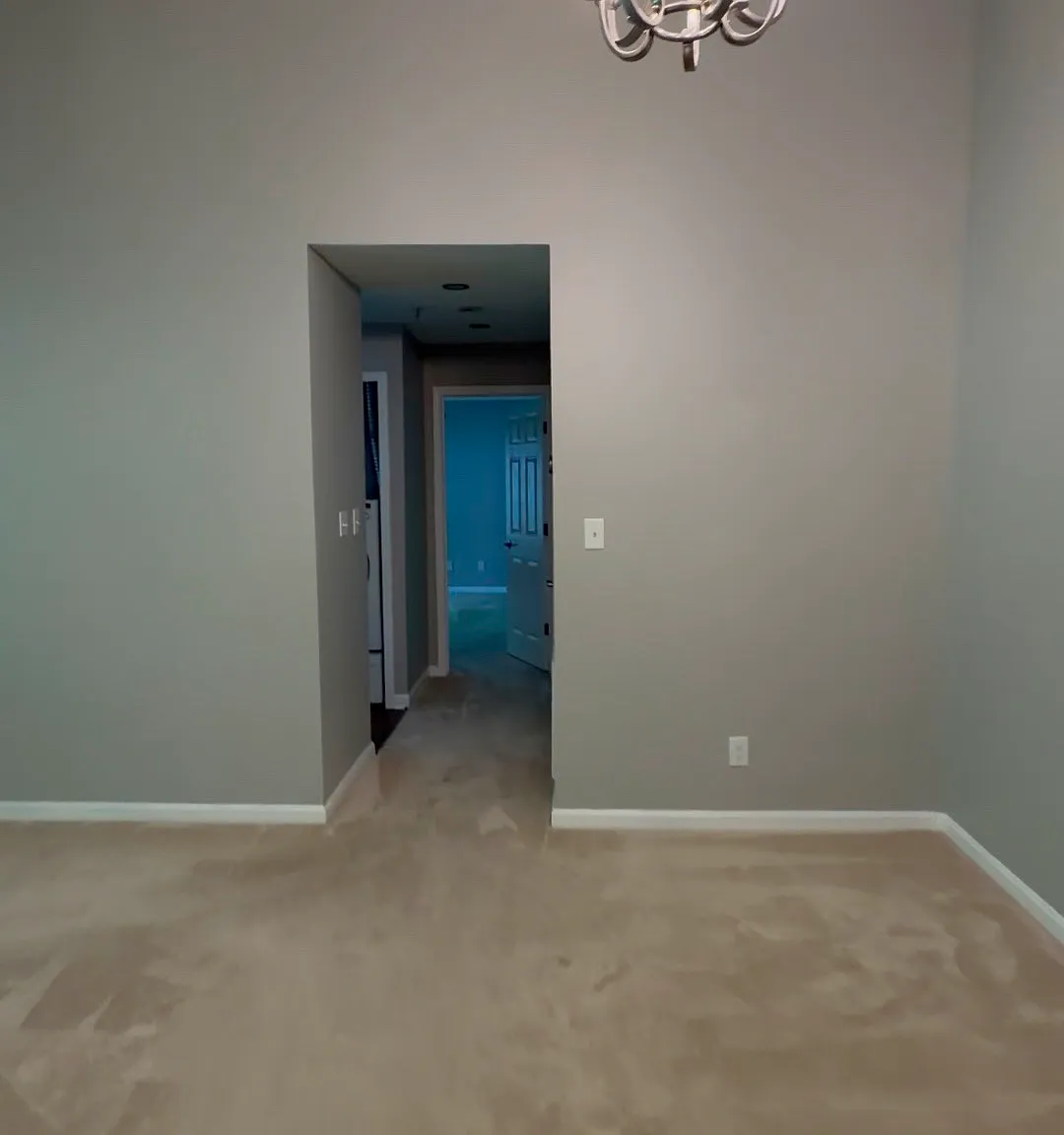 307 Tall Pines Ct — Photo 4