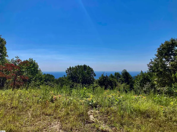 735 Fire Pink Way, Landrum, SC 29356