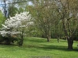16205 Swanson Rd, District Heights, MD, 20774