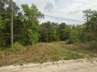 Riverside Trl #11, Satsuma, FL 32189