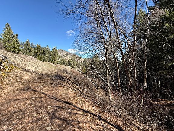 2nd image of Coogan Creek Rd