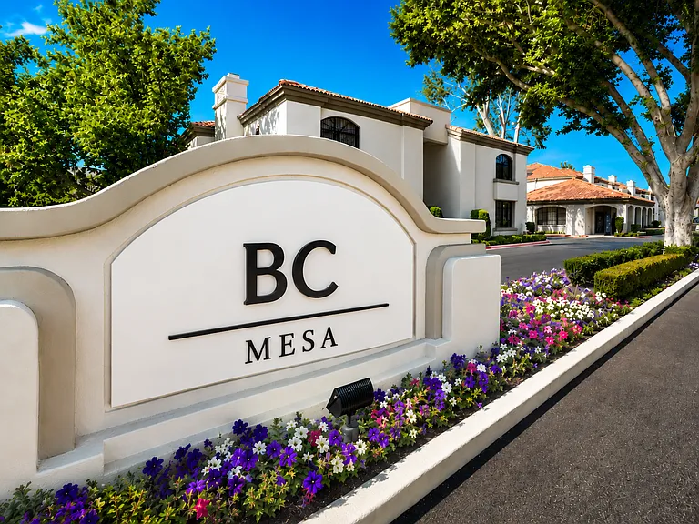 BC Mesa — Photo 10
