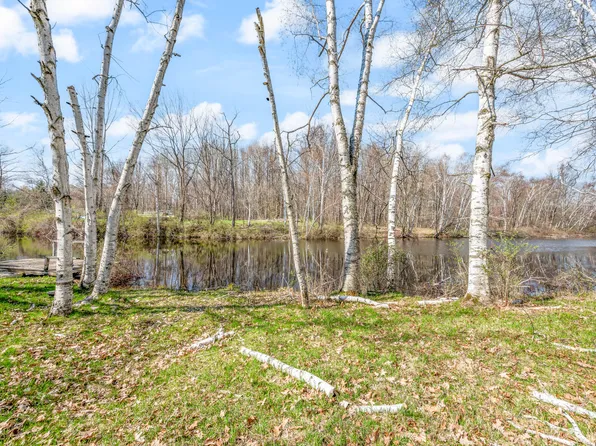 4700 Airstrip Dr, Barryton, MI 49305