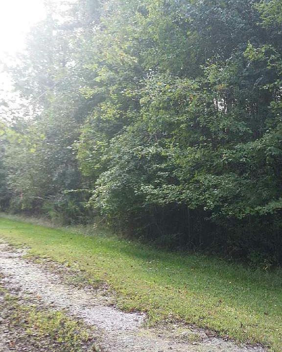2nd image of 5105&5111 Lindon Church Road NW
