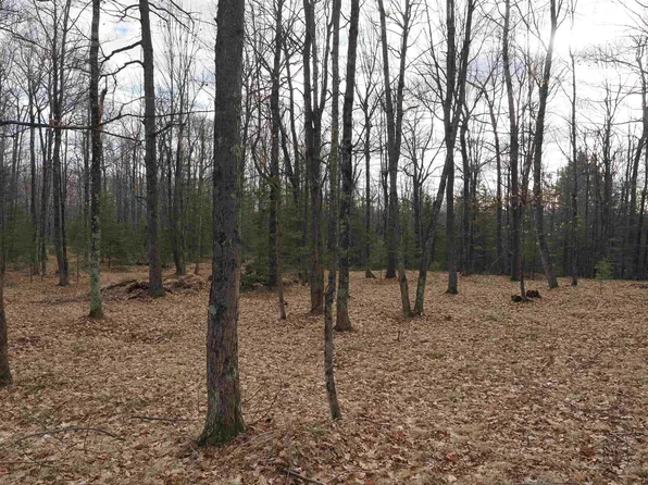 Woodland Dr, Daggett, MI 49821