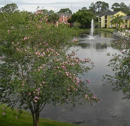 4th image of 4756 Walden Cir #34