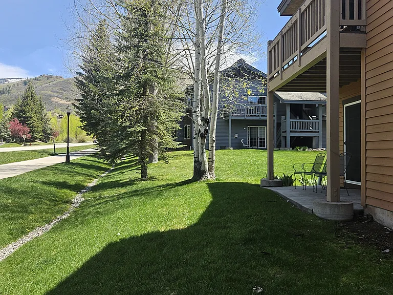 Surrounding Yard