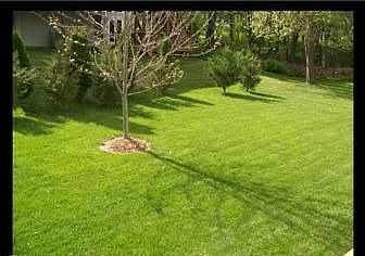 3rd image of 12808 Valleyhill St
