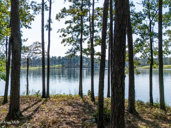 123 Big Pup Ct, Alexander City, AL 35010